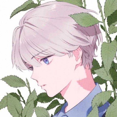 B太帮扶大山女孩用苹果手机